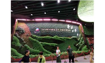 2019北京世園會，我們來啦